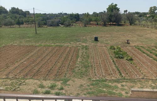 casa corraturo - Foto 8