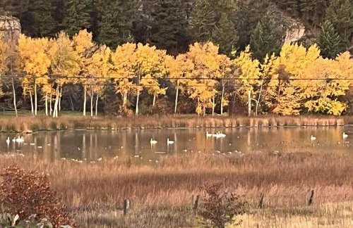 Charming 1 bedbath Suite in waterfront Cottage - Foto 14