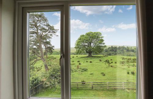 Stargazers - Uk3445 - Foto 14