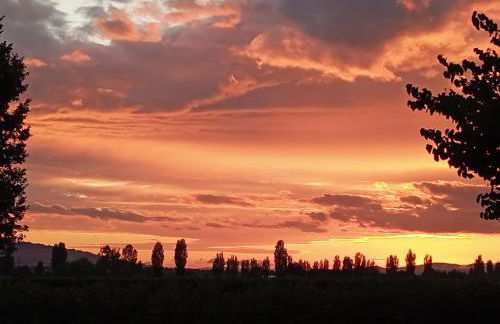 Pietra Rosa - Foto 61