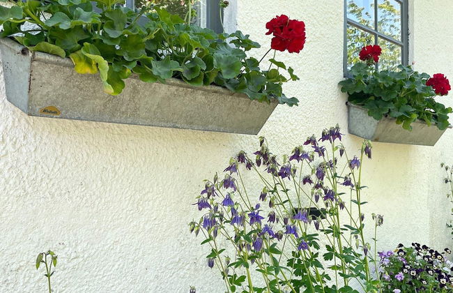 6 Person Holiday Home in Kattarp - Foto 20