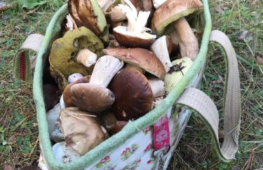 Domek Walentinki - Foto 30