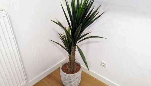 Apartment 'Tannen' Grenze Enschede - Foto 2