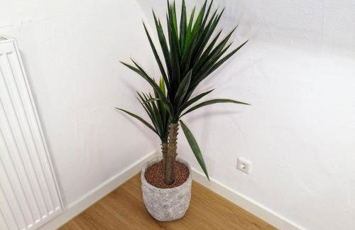 Apartment 'Tannen' Grenze Enschede - Foto 2