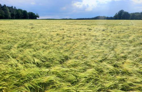 Apartments bei Playmobil 2,130 m2,24h self Check-in,Free parking - Foto 54