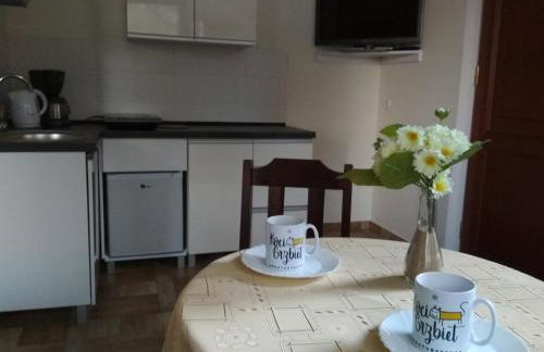 Koci Grzbiet Agroturystyka - Foto 12