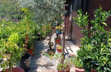 Ceira Cottage - Refúgio Romântico com Vista Serrana - Foto 30