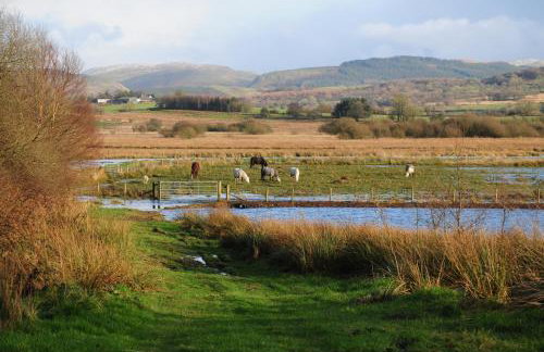 Bryn Isaf Tregaron - Foto 15