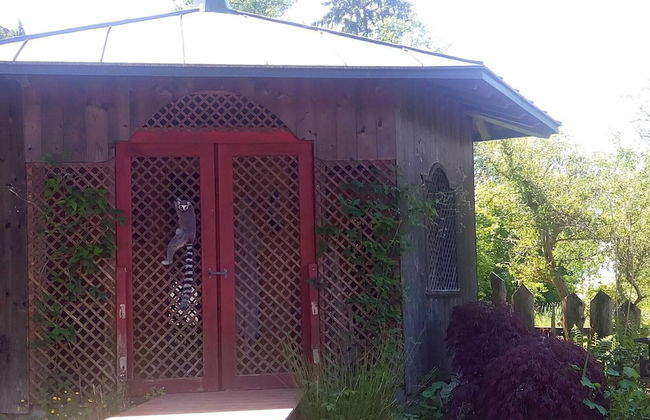 Kaiserlounge Harald Astner Ebbs - Foto 34