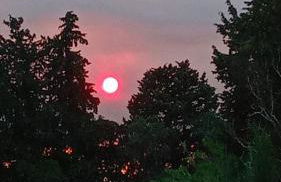 mas de karlotte - Photo 33