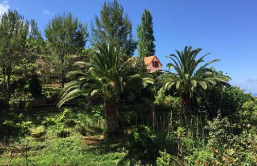 Casa d'Olívia - Photo 1