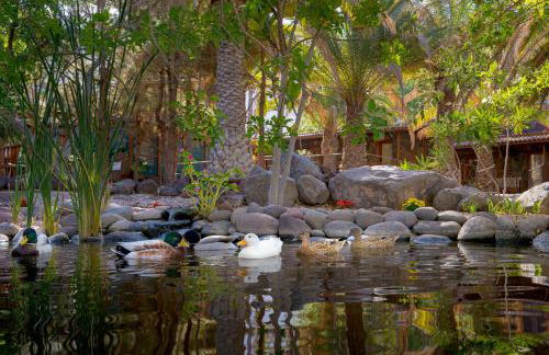 Redondo de Guayedra - Foto 8