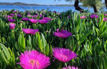 Apartmani BaSaDa by the sea Kuciste - Perna, Peljesac - 4545 - Foto 5