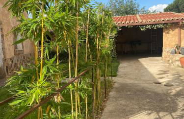 La Lechería de Daniela - Foto 17