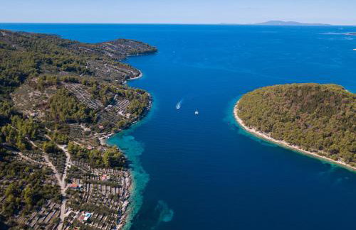 Villa Goga - Photo 7