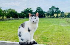 Luxury 2 bed home - Foto 23