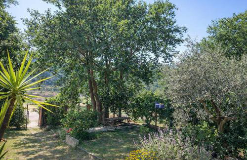 Sunshine Home - Peaceful Garden Escape & Parking - Foto 18