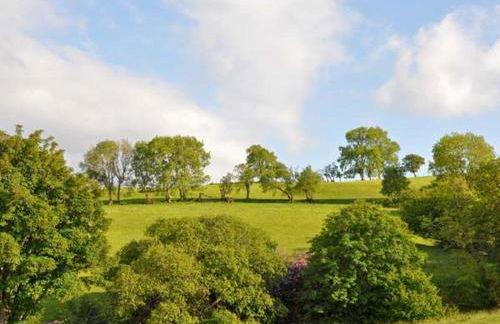 Hendre Aled Cottage 3 - Photo 10
