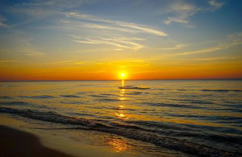 STEGNA House- Domek letniskowy - Photo 39