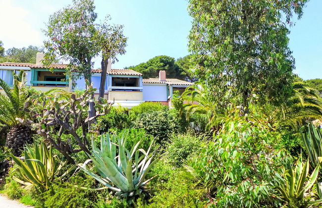 Les Mas du Sud - Foto 3