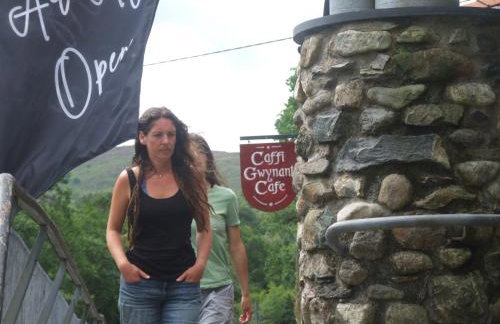 Red Dragon Cottages nr Mt Snowdon - Photo 51