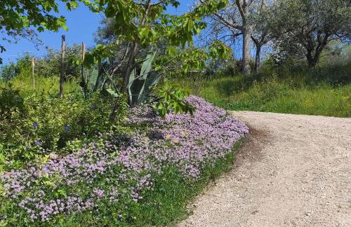 GrazieSole Agriturismo mattone upstairs e downstairs - Foto 15