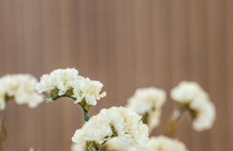 Apartamenty Balijskie - Foto 16