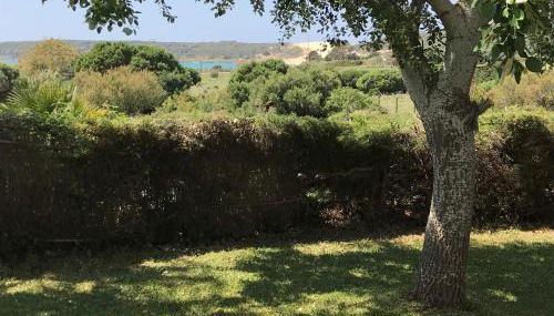 Casa Oliva Playa Bolonia - Foto 3, Garden