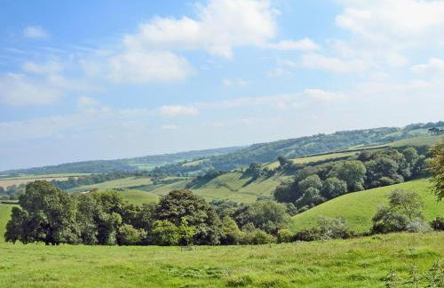 The Chicken Shed - Foto 17