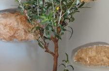 Spartines home - Photo 10