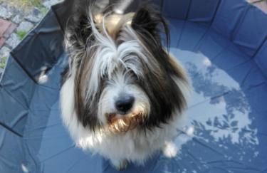 Kreativhof Lehmberg - Photo 20