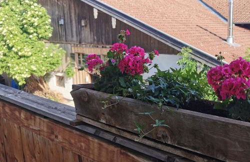 Green Hills Appaloosa Ranch - Foto 43