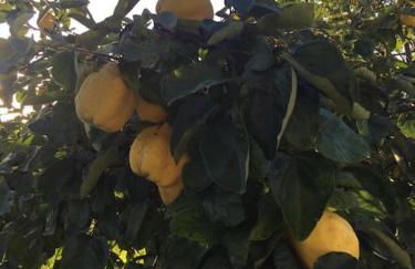 Ferienwohnung Anita - Foto 33