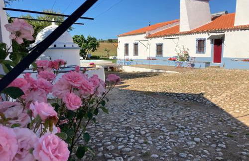 Monte do Pombal - Foto 6