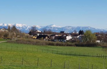 Alpenblick 3 - Photo 15