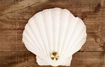 Petit Gîte de Calvet - Foto 7