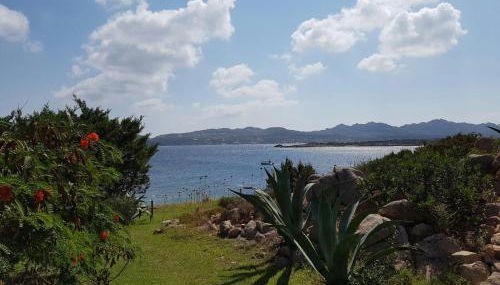 Giulianahouse - Foto 3, Garden, Garden view