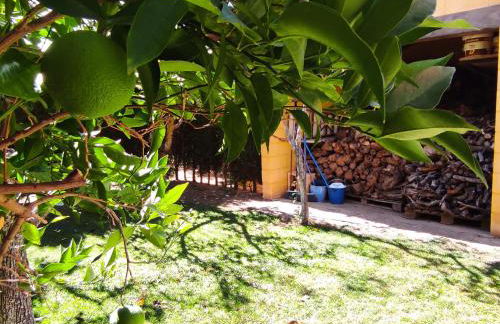 LOS ABUELOS - Foto 64