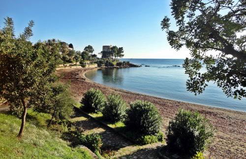 Appartamenti Le Mimose - Foto 25