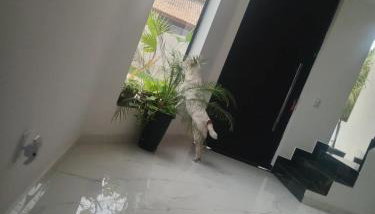 Perfeita casa espaçosa em São Pedro da Aldeia - Foto 3