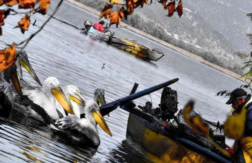 La maisonnette - Foto 38