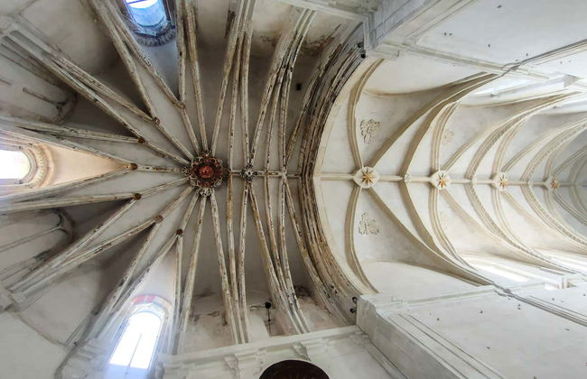 Visite guidée du monastère de la Cartuja - Photo 11