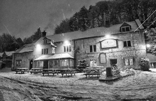 The Organic Cotswolds Cowshed - Photo 67