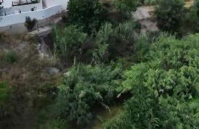 Domo AWA Magia y Naturaleza - Foto 12