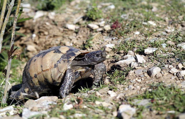 Outstanding Panoramic View, 10΄ Beach, 20΄ Airport - Foto 44