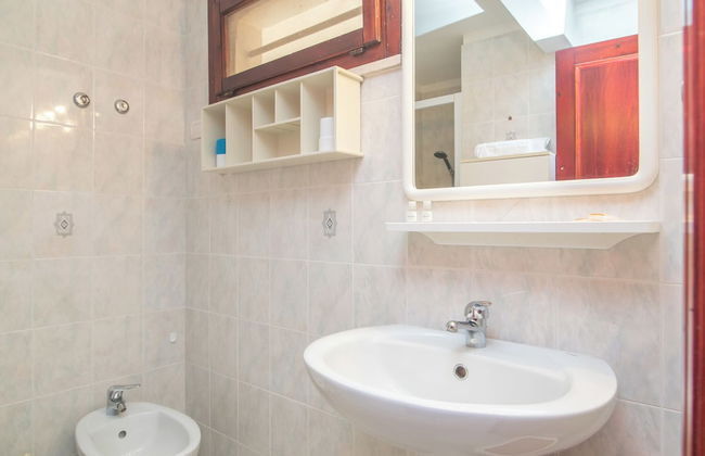 Mono Gambero Eucalyptus 241 - Foto 8