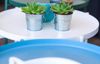 Sea Breeze Experience - Foto 24