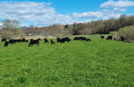 Agriturismo Pastorelli - Foto 51