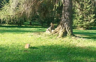 Bellamonte Villa Larici primo piano - Foto 37