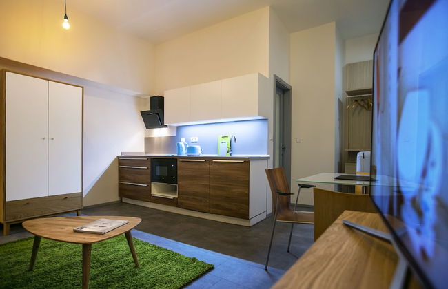 Apartments At The Blue Duckling - Photo 15